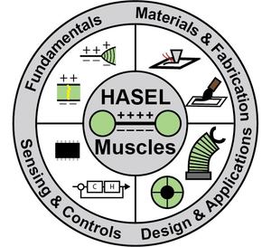 HASEL Artificial Muscles for a New Generation of Lifelike Robots—Recent Progress and Future Opportunities