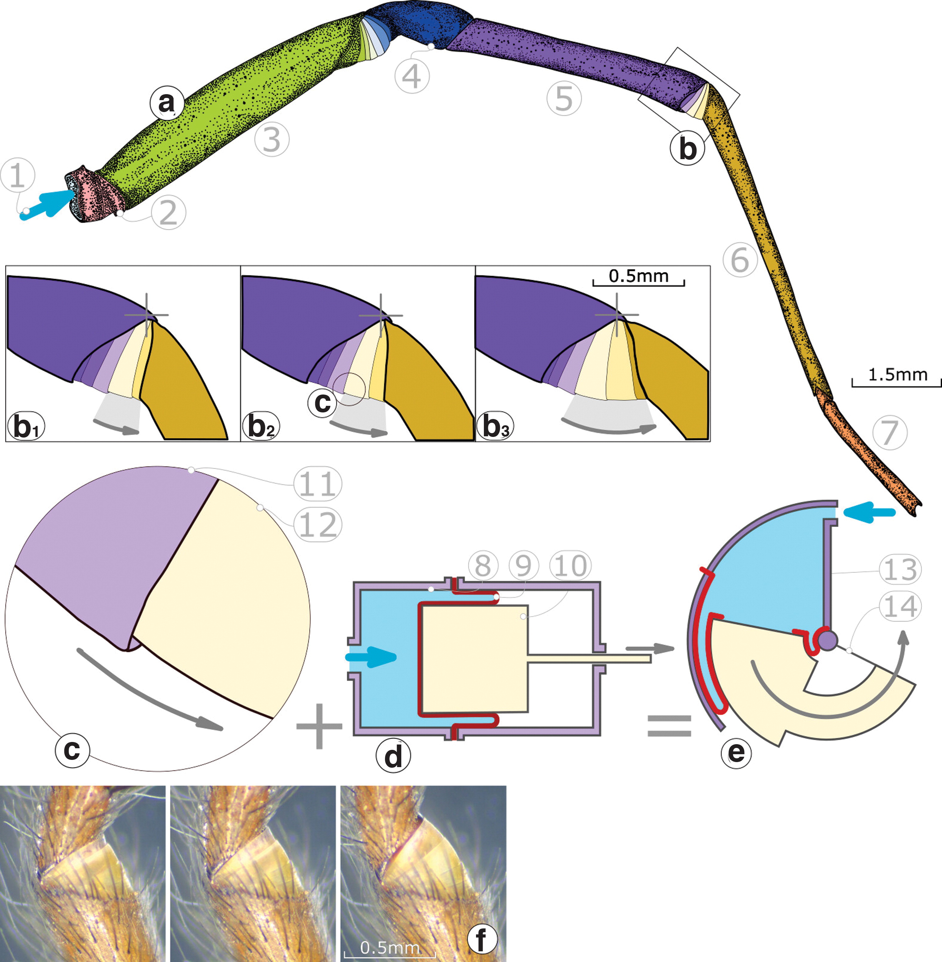 Images large soro.2020.0108 figure2