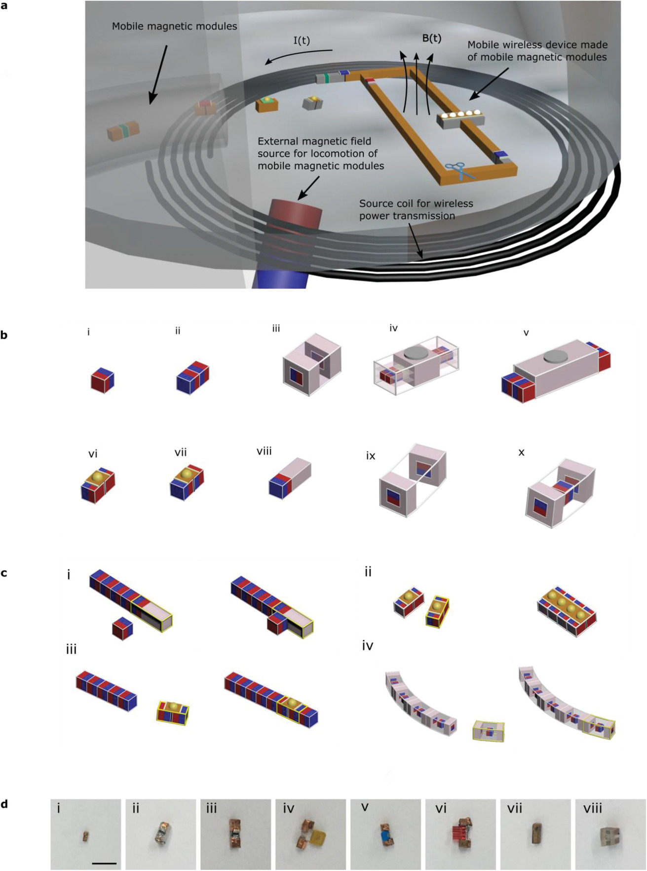 Advs2724 fig 0001 m