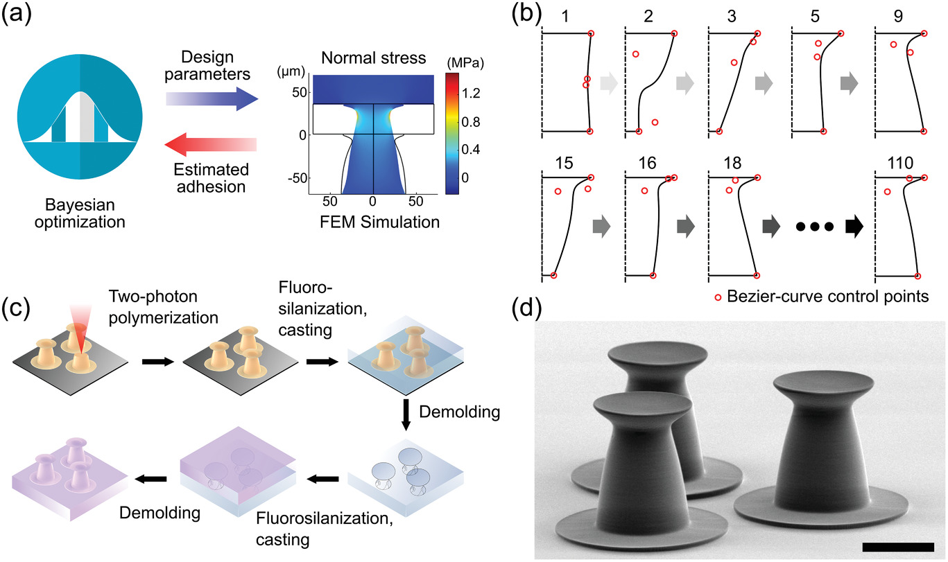 Smll202102867 fig 0001 m