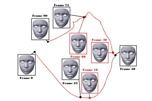 Facesinmotion