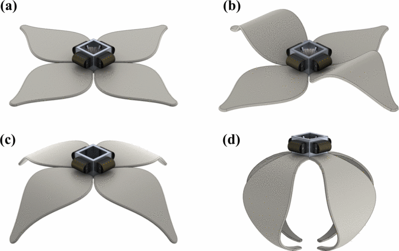 Thumb xxl 2245 2 0604 p fig 1 source large