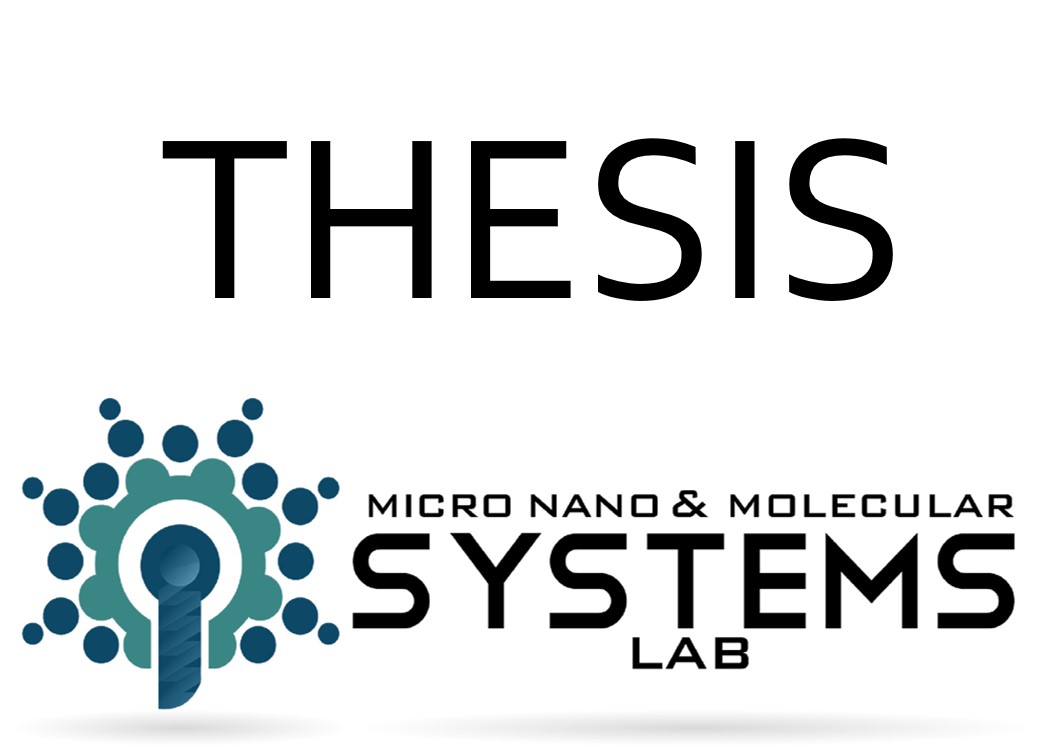Thesis