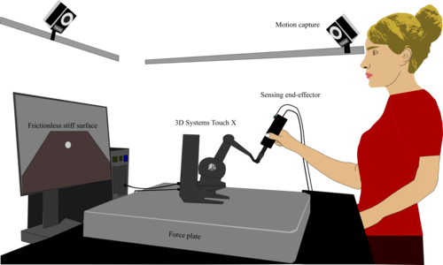 Comparing Two Grounded Force-Feedback Haptic Devices