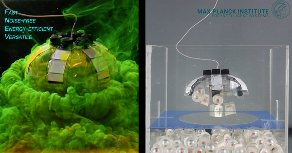 A Versatile Jellyfish-Like Robotic Platform for Effective Underwater Propulsion and Manipulation