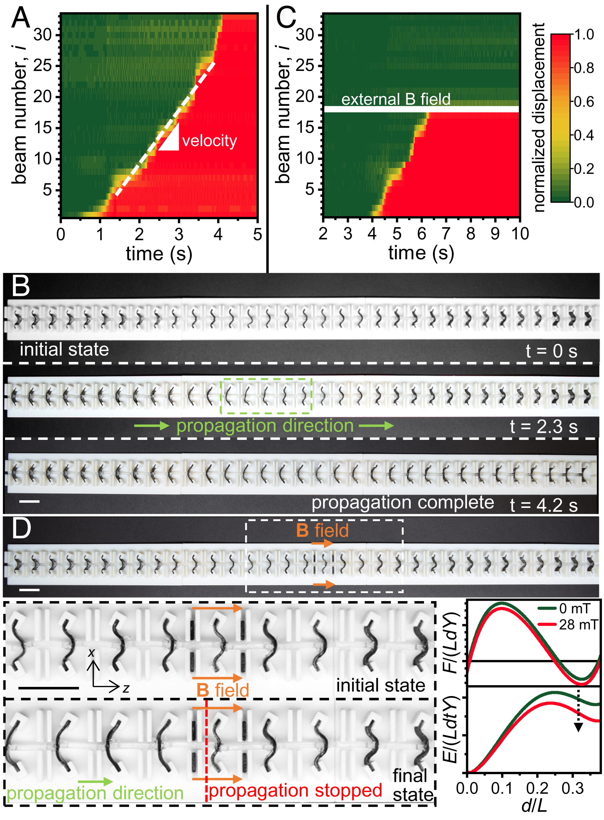 Pnas2212489120fig04