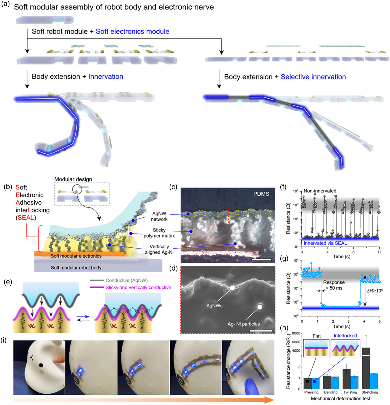 Aisy202300013 fig 0001 m