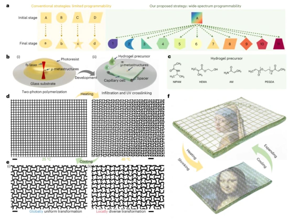 Zhang2023hydrogel