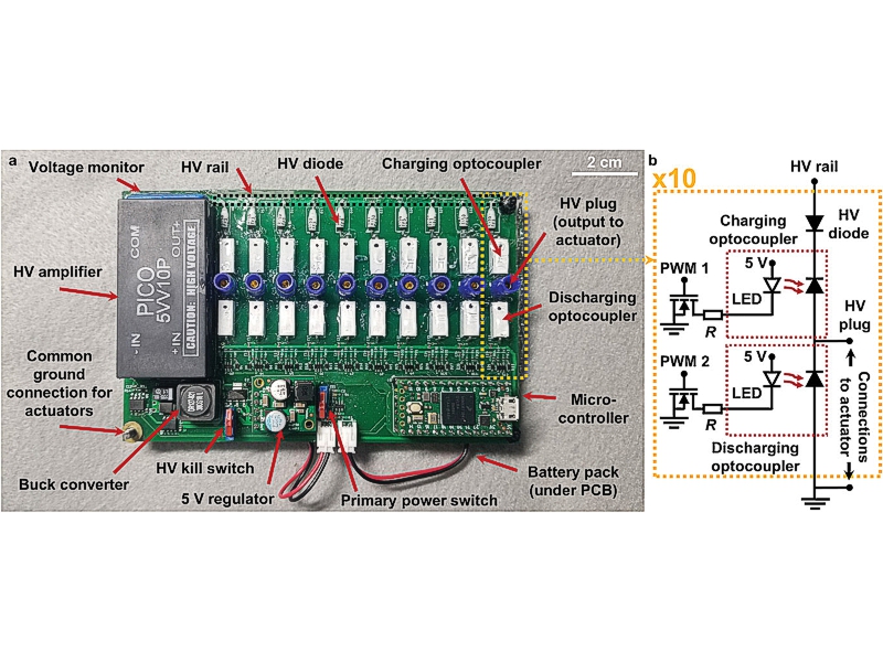 Admt202101469 fig 0001 m