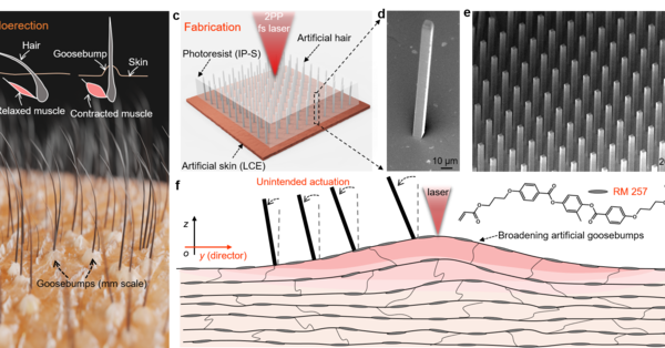 Artificial-goosebump-driven microactuation