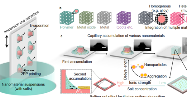 Capillary trapping of various nanomaterials on additively manufactured scaffolds for 3D micro-/nanofabrication