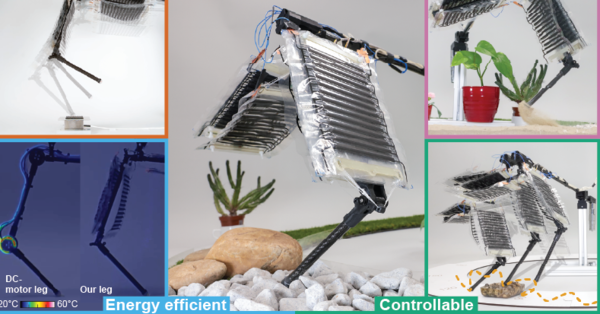 Electrohydraulic Musculoskeletal Robotic Leg for Agile, Adaptive, yet Energy-Efficient Locomotion