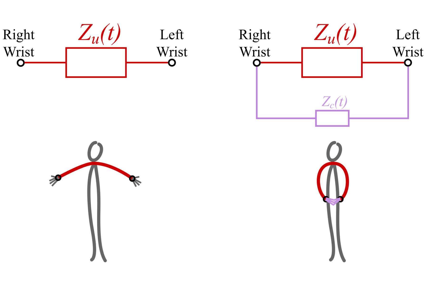 Thumb xxl circuits