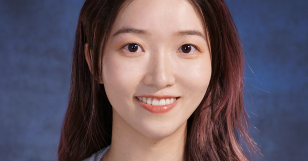 The Dawn of Video Generation: Preliminary Explorations with SORA-like Models