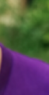 Thumb ticker sm remi cropped