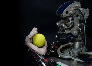 Thumb ticker sm ball 01