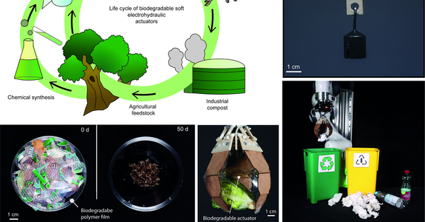 Biodegradable Electrohydraulic Actuators for Sustainable Soft Robots
